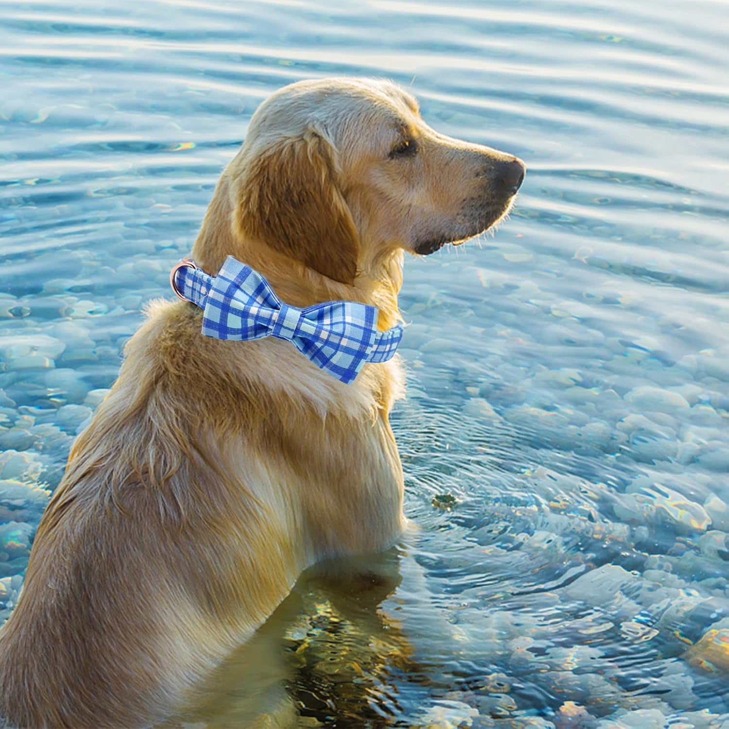 Dog Collar with Bow - Blue Plaid Boy Dog Collar Cute Bowtie Pet Collar Adjustable Dog Collar for X-Small Puppy and Cat