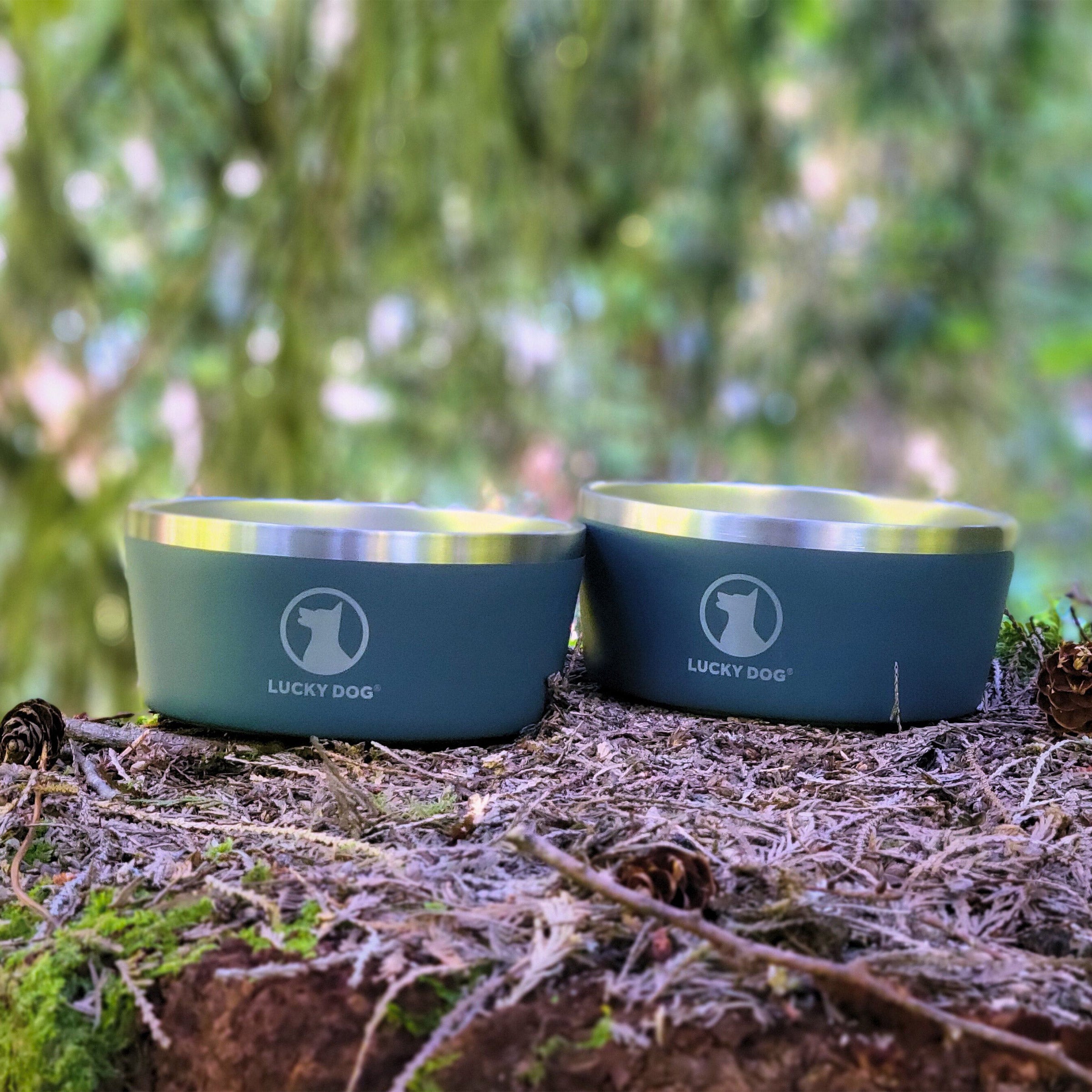 Lucky Dog Indulge 5, Double Wall 5 Cup Stainless Steel Dog Bowl, 2-Pack