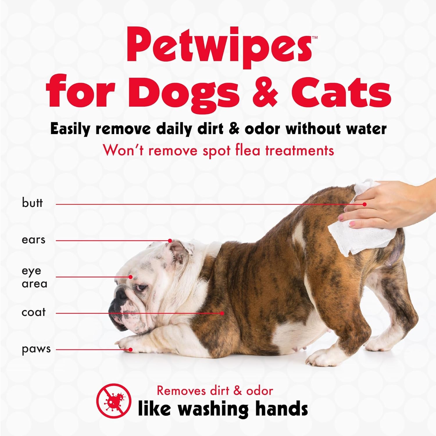 Pet Wipes for Dogs & Cats - 200 Large Wipes - Removes Dirt & Odor - Cleans Ears, Face, Butt, Eye Area - Convenient for Home or Travel - 2 Packs.